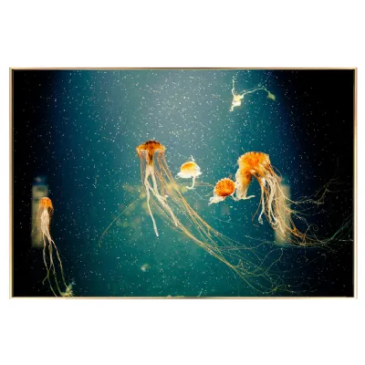Jellyfish Glass Wall Art Picture