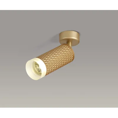 Lenham Adjustable 1 Light Surface Mounted Ceiling Wall Spot Light GU10, Champagne Gold Acrylic Ring