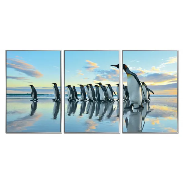 Framed Acrylic Pictures – Penguin March (Set of 3)